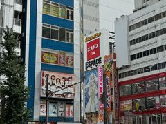 -秋叶原电器街