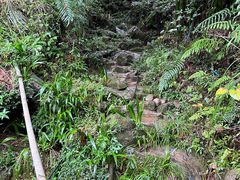-凤栖山