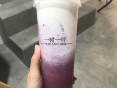 -一树一叶·福建茶档(石鼓路店)