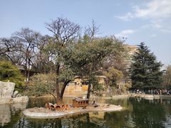 -昆明动物园