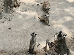 -宁波野生动物园