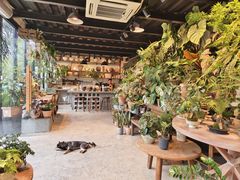 -自由生长植物工作室(深港花卉中心店)