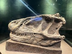 -自贡恐龙博物馆