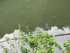 -灵隐飞来峰景区