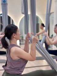 点击看大图 -金珠瑜伽普拉提学院
