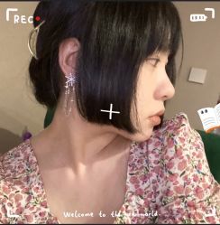 -杜尚发型