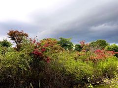 -上海杨姆庄园