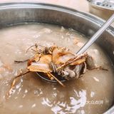 推荐‼️深圳这家鸽子饭真好吃,锅巴香疯了