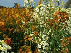 -中国天府农业博览园