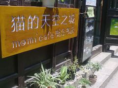 -猫的天空之城概念书店(西塘古镇店)