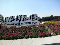 -上海鲜花港
