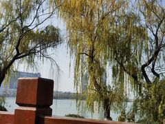 -金银湖国家城市湿地公园