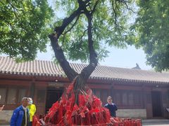 -河间府署