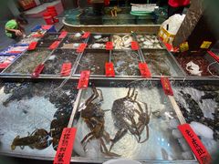 -湛江渔港·大排档(乐园路总店)