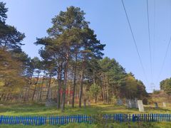 -玉泉威虎山森林公园