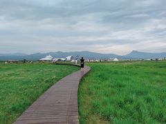 -敕勒川草原