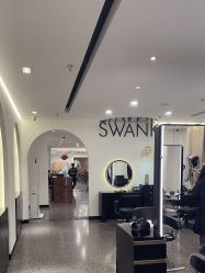 点击看大图 -SWANK SALON