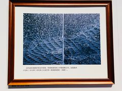 -中国（海南）南海博物馆