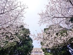 -武汉大学-樱园