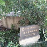 碉堡定为文物，闵行又添一例