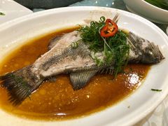 -御满江海鲜酒家(洛溪新城店)