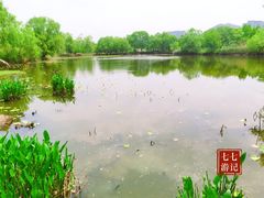 -长兴太湖图影湿地文化园