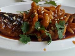 -泰煌鸡·上海白斩鸡·沪菜(平利店)