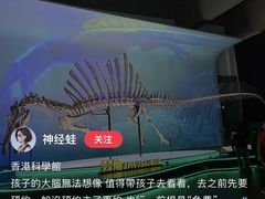 -香港科学馆