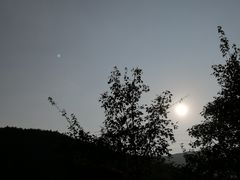 -宁波浙东大竹海景区
