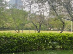 -虹之森·小馆