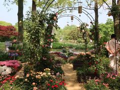 -上海四季花港-停车场