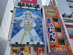 -秋叶原电器街