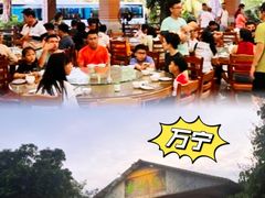 -兴隆槟榔园休闲农庄
