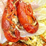 舌尖狂欢[礼花] 小龙虾🦞吃虾自由