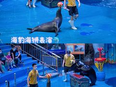 -烟台海昌鲸鲨海洋公园