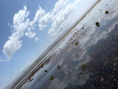 -花湖生态旅游区
