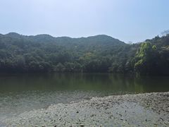 -广州市石门国家森林公园