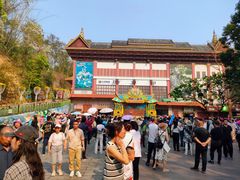 -西双版纳原始森林公园
