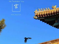 -故宫博物院(故宫)
