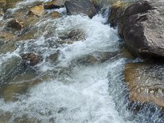 -广州白江湖森林公园