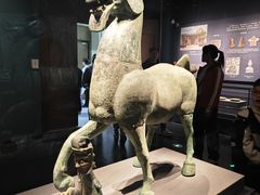 -广西壮族自治区博物馆