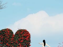 -东莞植物园