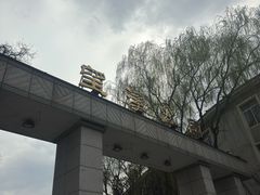-望溪公园