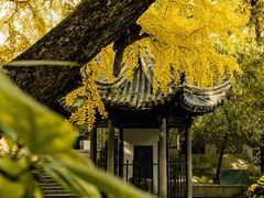 -惠山古镇·寄畅园