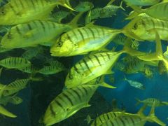 -福州罗源湾海洋世界旅游区