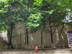 -中国艺术研究院油画院