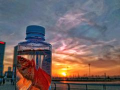 -东港音乐喷泉广场