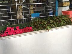 -ခြောက်ထပ်ကြီးရွှေသာလျောင်းဘုရားကြီး