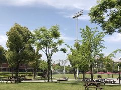 -上海德威外籍人员子女学校(浦东校区)