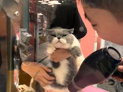 -FAELING PETS美天灵宠物(合生汇店)